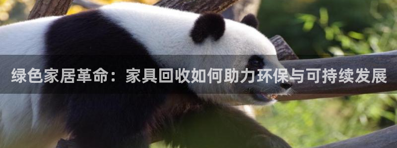 星欧娱乐平台官网入口