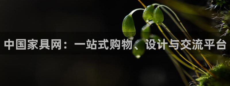 星欧娱乐官方客服