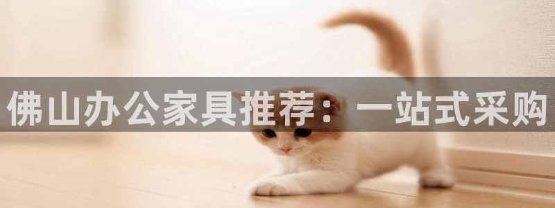 欧乐星城休闲娱乐