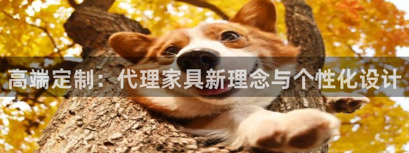 星欧娱乐官方网站首页