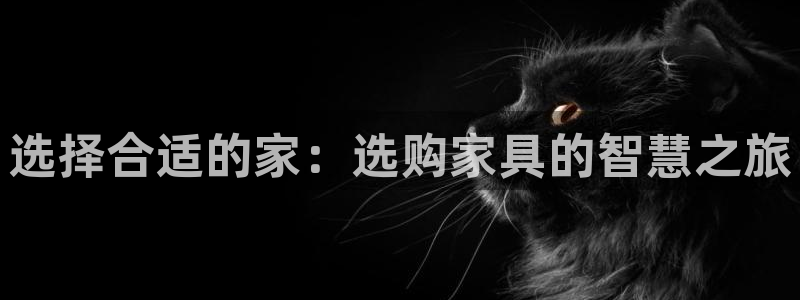 星欧娱乐招商81338