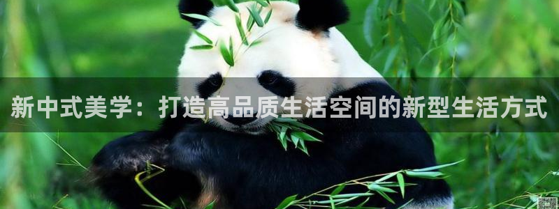 星欧娱乐人工客服电话