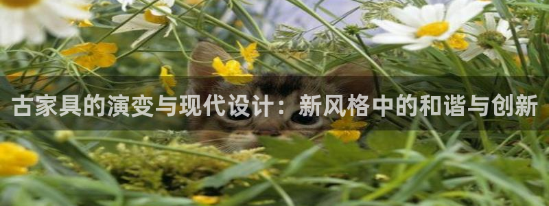 星欧娱乐的安装方法及注意事项