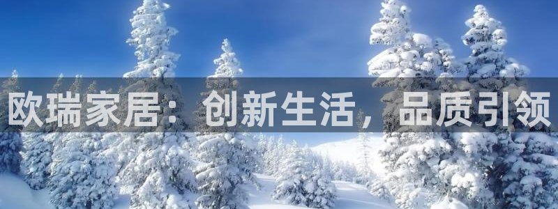 星欧娱乐经纪公司简介