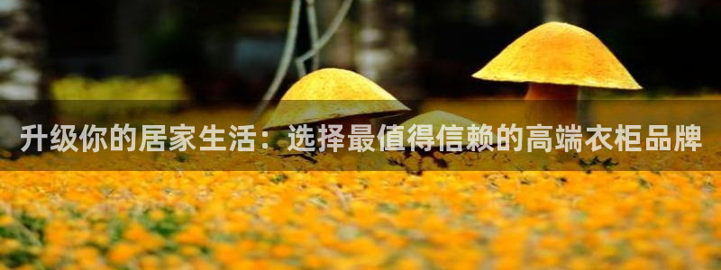 星欧娱乐官方网站客服