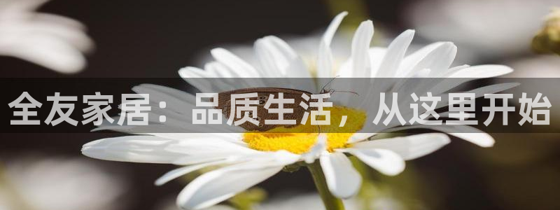 欧星娱乐08